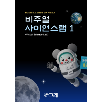 비주얼사이언스랩 1