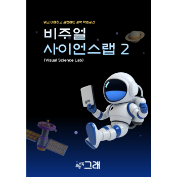 비주얼사이언스랩 2